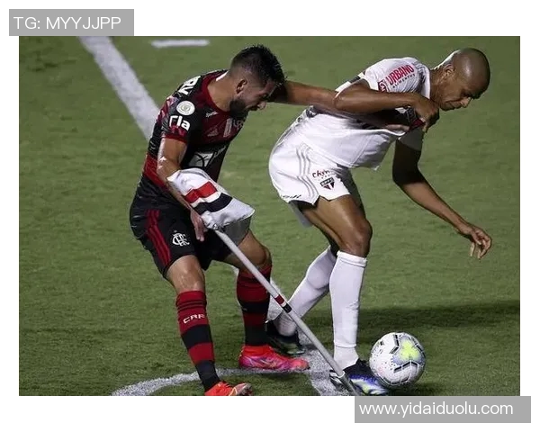 巴勒斯坦人对抗弗拉门戈的激烈较量与精彩瞬间回顾